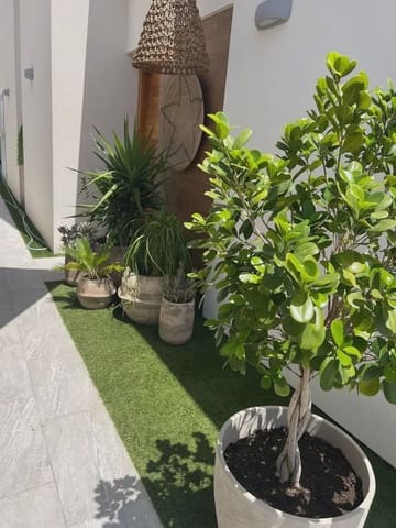 Pareado de 3 habitaciones en Daya Vieja en venta - 359.000 € (Ref: 9872142)