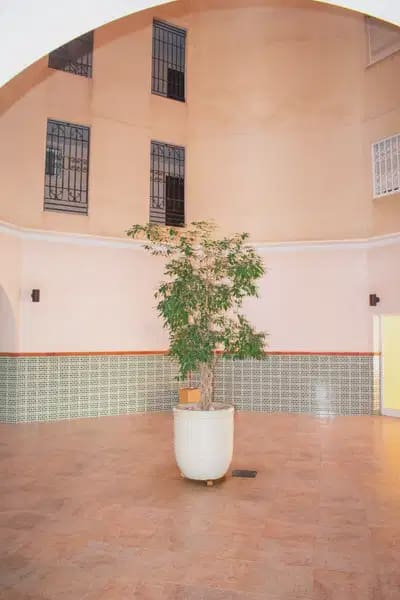 3 camera da letto Appartamento sulla Spiaggia in vendita in Torrevieja - 360.000 € (Rif: 9872152)