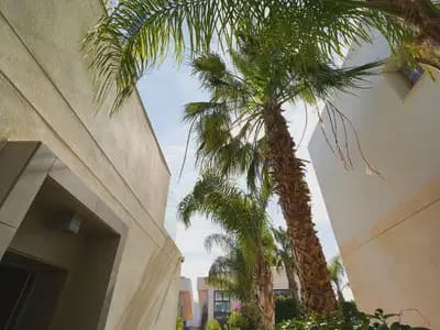 3 Zimmer Villa zu verkaufen in Ciudad Quesada - 459.000 € (Ref: 9897092)