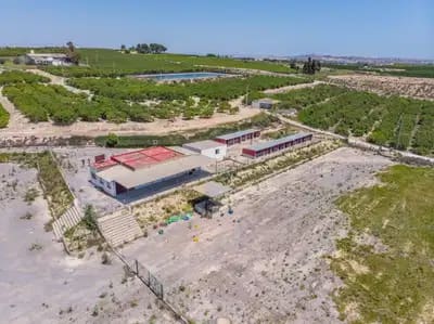 2 Zimmer Finca/Landgut zu verkaufen in Los Montesinos - 380.000 € (Ref: 9914875)