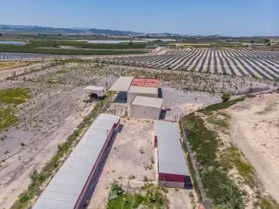 2 Zimmer Finca/Landgut zu verkaufen in Los Montesinos - 380.000 € (Ref: 9914875)