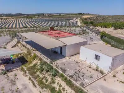 2 Zimmer Finca/Landgut zu verkaufen in Los Montesinos - 380.000 € (Ref: 9914875)