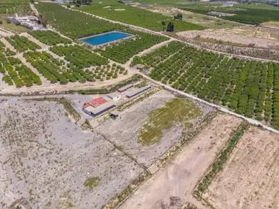 2 Zimmer Finca/Landgut zu verkaufen in Los Montesinos - 380.000 € (Ref: 9914875)
