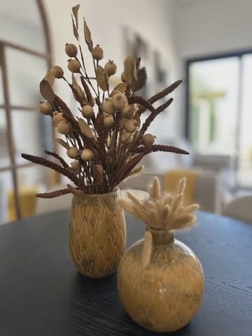 2 camera da letto Bungalow in vendita in Nou Alacant, Alicante città con piscina garage - 261.900 € (Rif: 9932653)