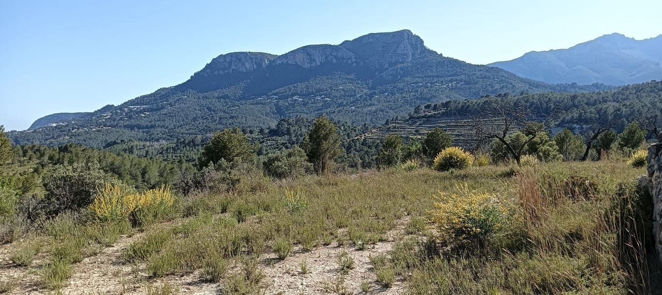 Ubebygd land til salgs i Benissa - € 211 777 (Ref: 10002490)