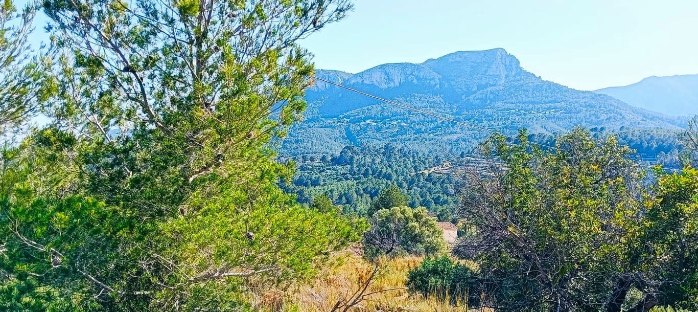 Ubebygd land til salgs i Benissa - € 211 777 (Ref: 10002490)