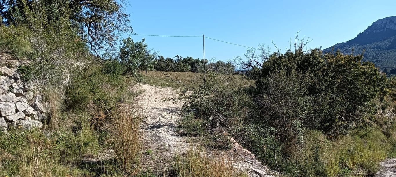 Ubebygd land til salgs i Benissa - € 211 777 (Ref: 10002490)