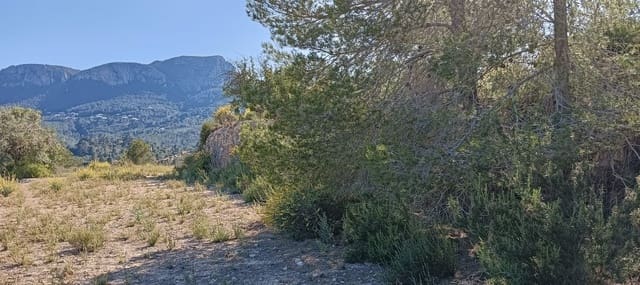 Ubebygd land til salgs i Benissa - € 211 777 (Ref: 10002490)