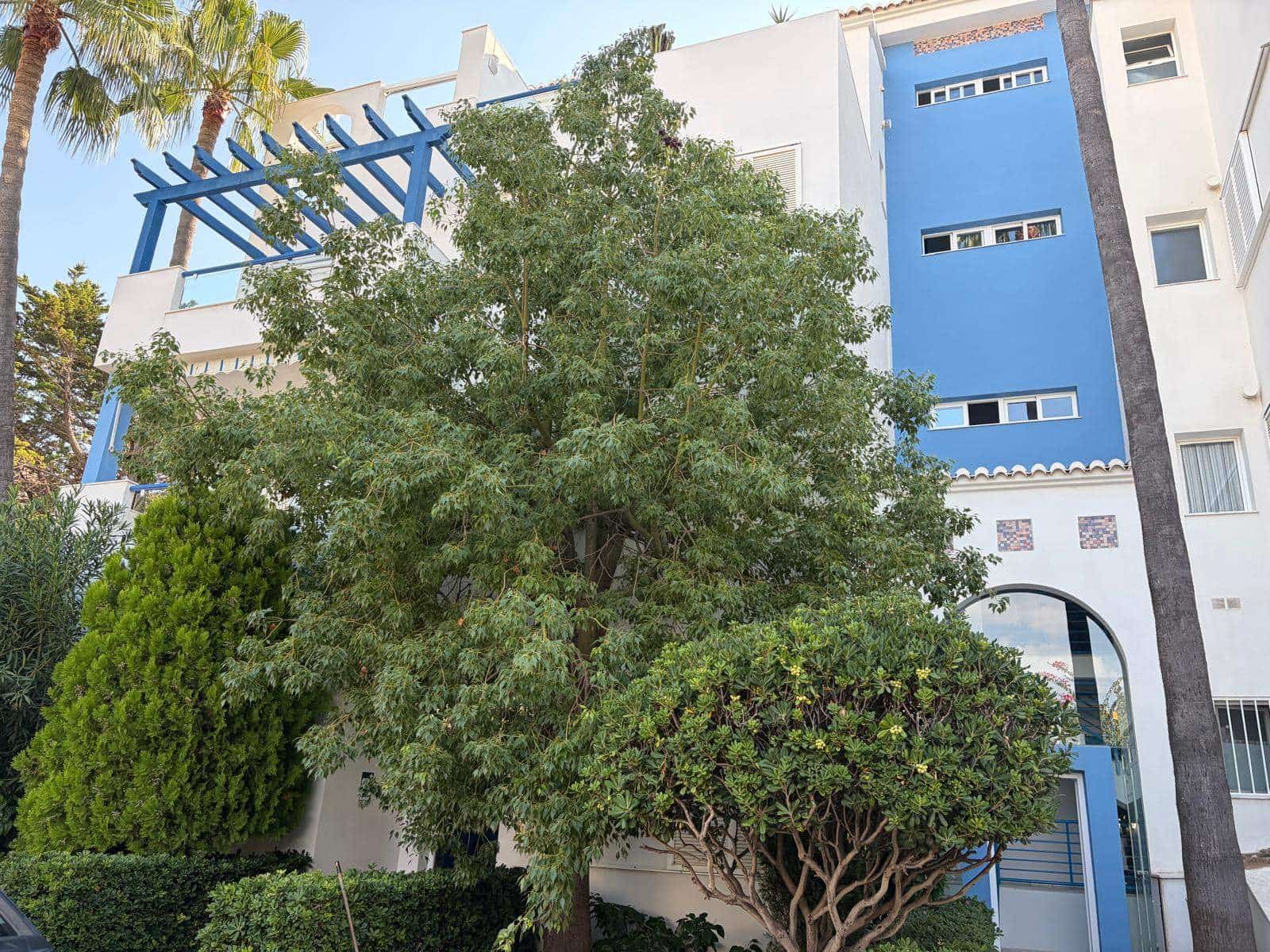 1 soverom Leilighet til salgs i Denia med svømmebasseng garasje - € 175 000 (Ref: 10163556)