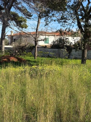 Solar/Parcela en Dénia en venta - 736.000 € (Ref: 9425914)