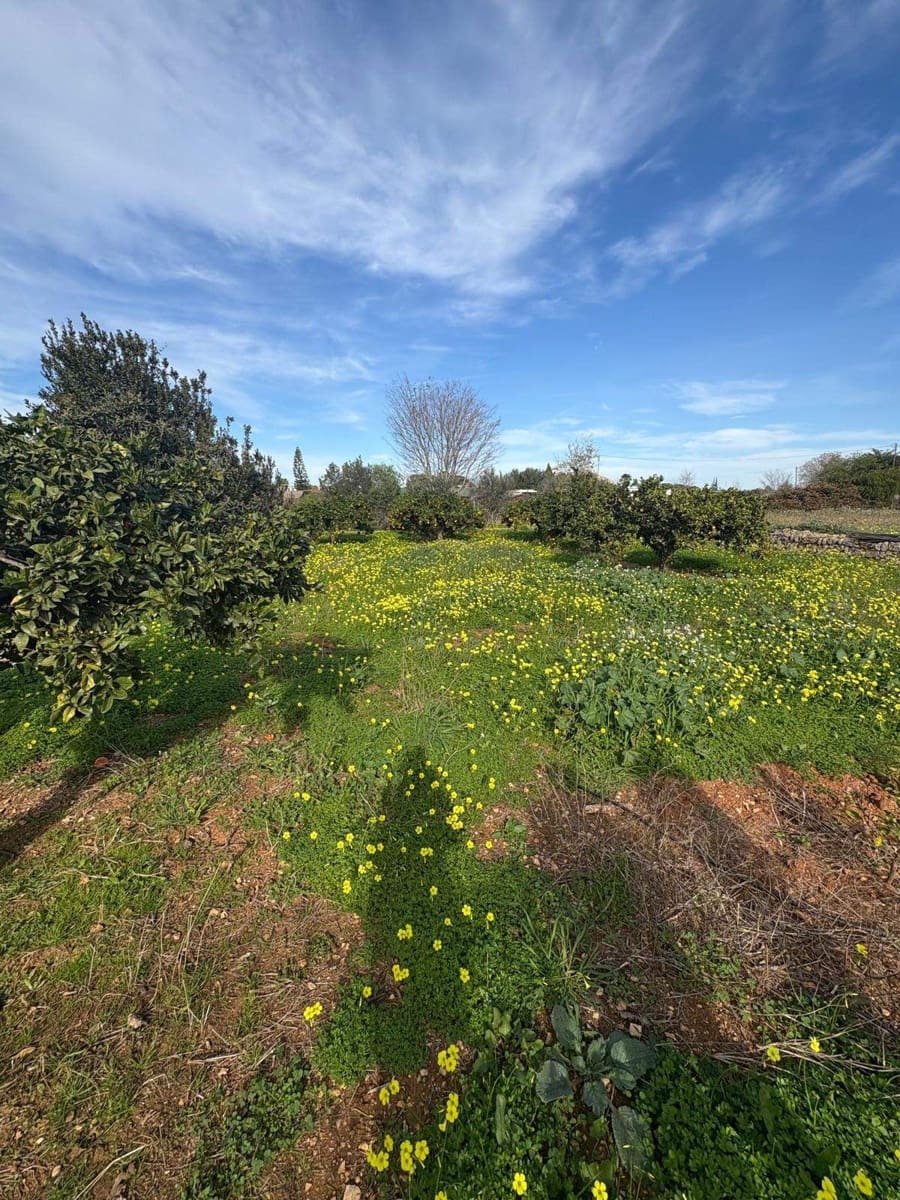 Byggetomt til salgs i Denia - € 260 000 (Ref: 9425915)