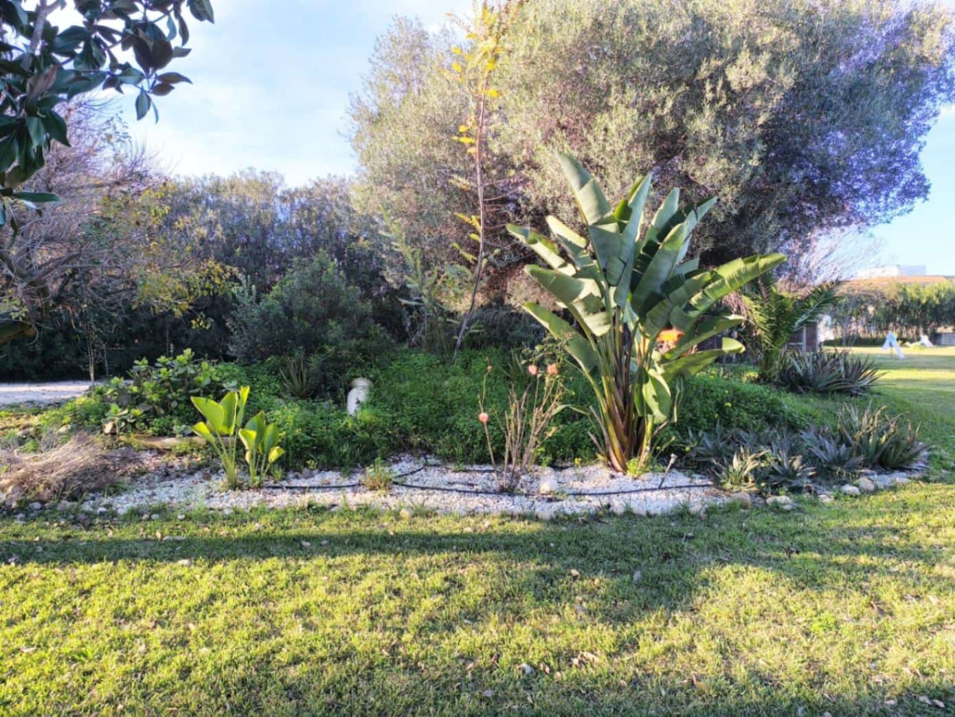 5 bedroom Villa for sale in Ondara with pool - € 1,400,000 (Ref: 9451733)