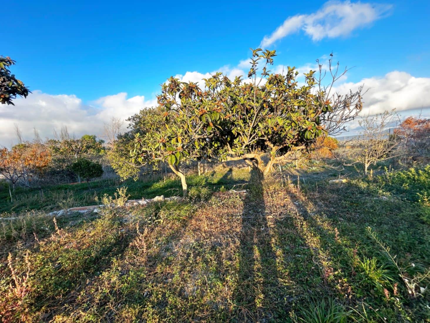 5 soveværelse Villa til salg i Benissa - € 260.000 (Ref: 9508147)