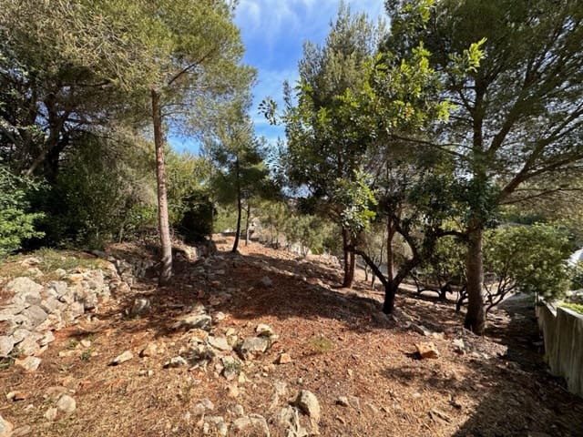Bouwgrond te koop in Denia - € 120.000 (Ref: 9535056)