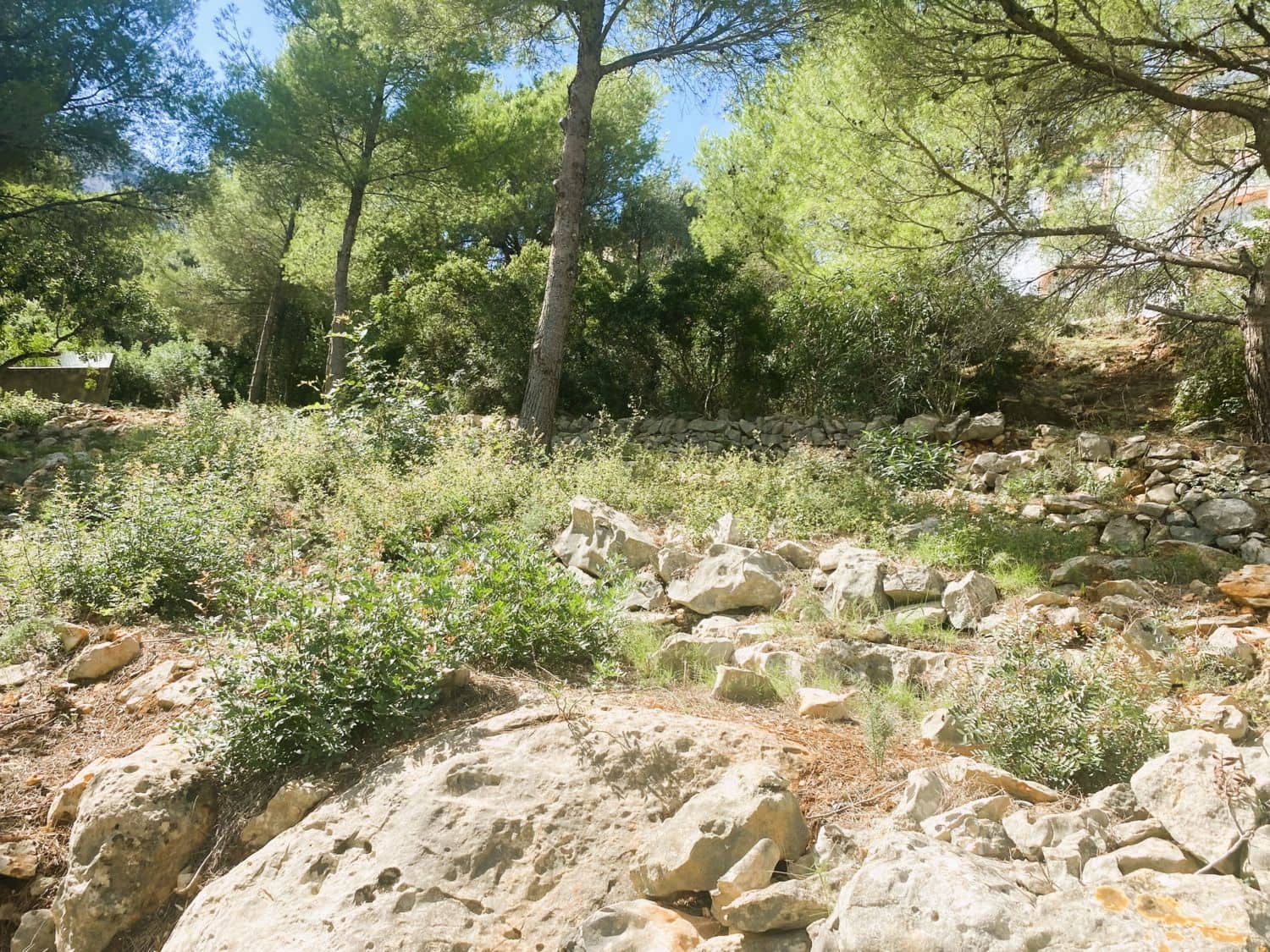 Bouwgrond te koop in Denia - € 120.000 (Ref: 9535056)
