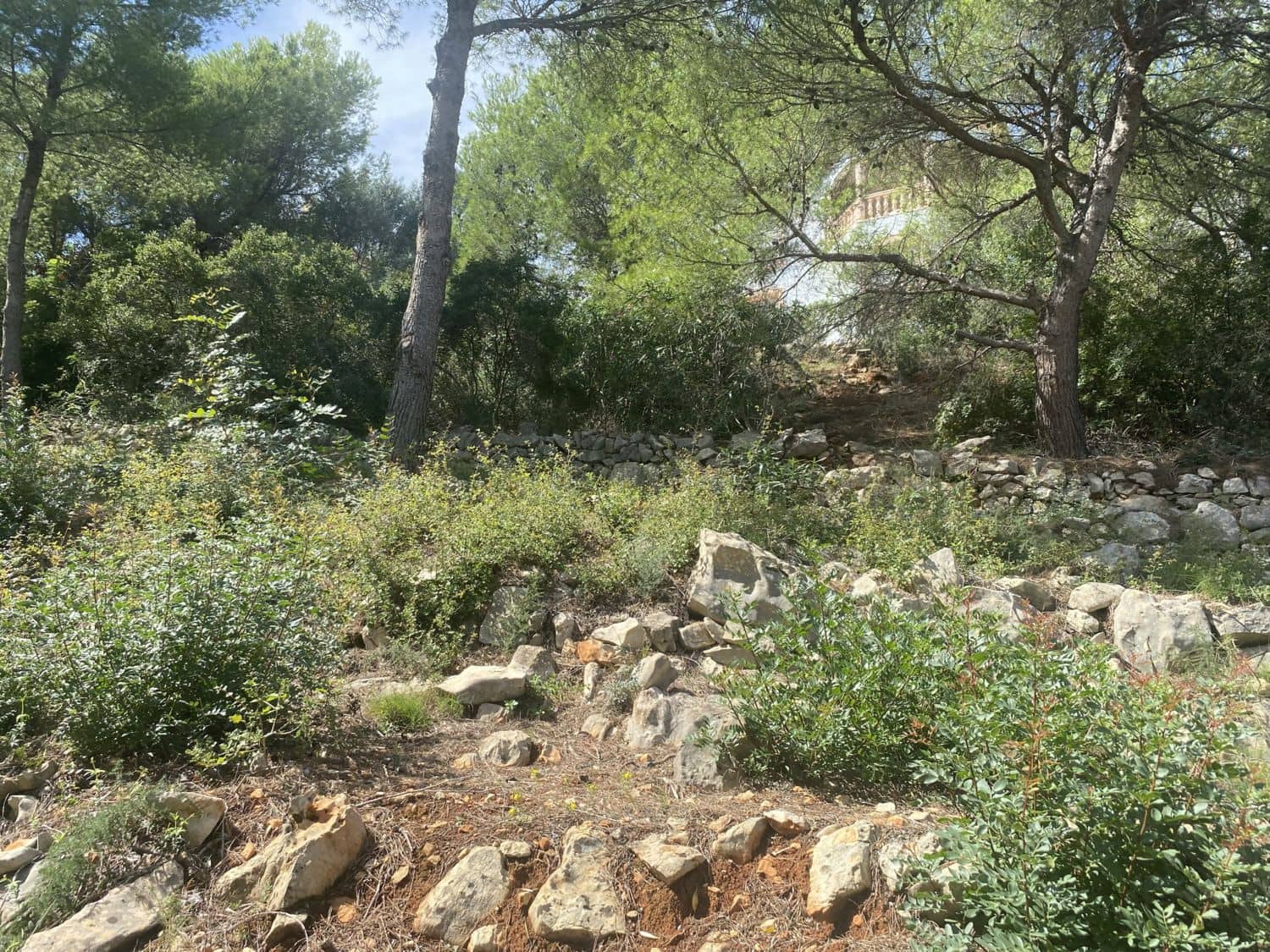 Bouwgrond te koop in Denia - € 120.000 (Ref: 9535056)