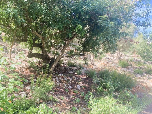 Solar/Parcela en Dénia en venta - 120.000 € (Ref: 9535056)