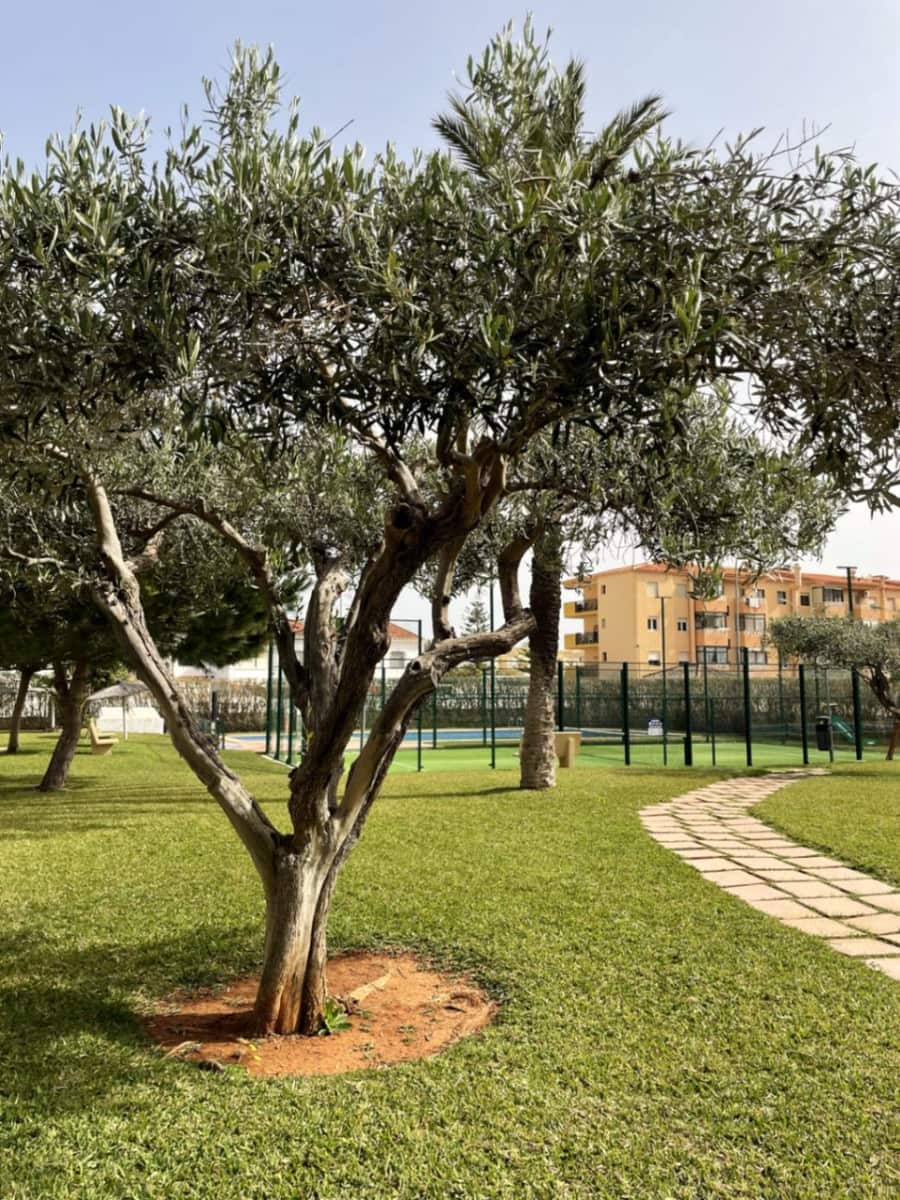 2 chambre Penthouse à vendre à Denia avec piscine - 450 000 € (Ref: 9772462)