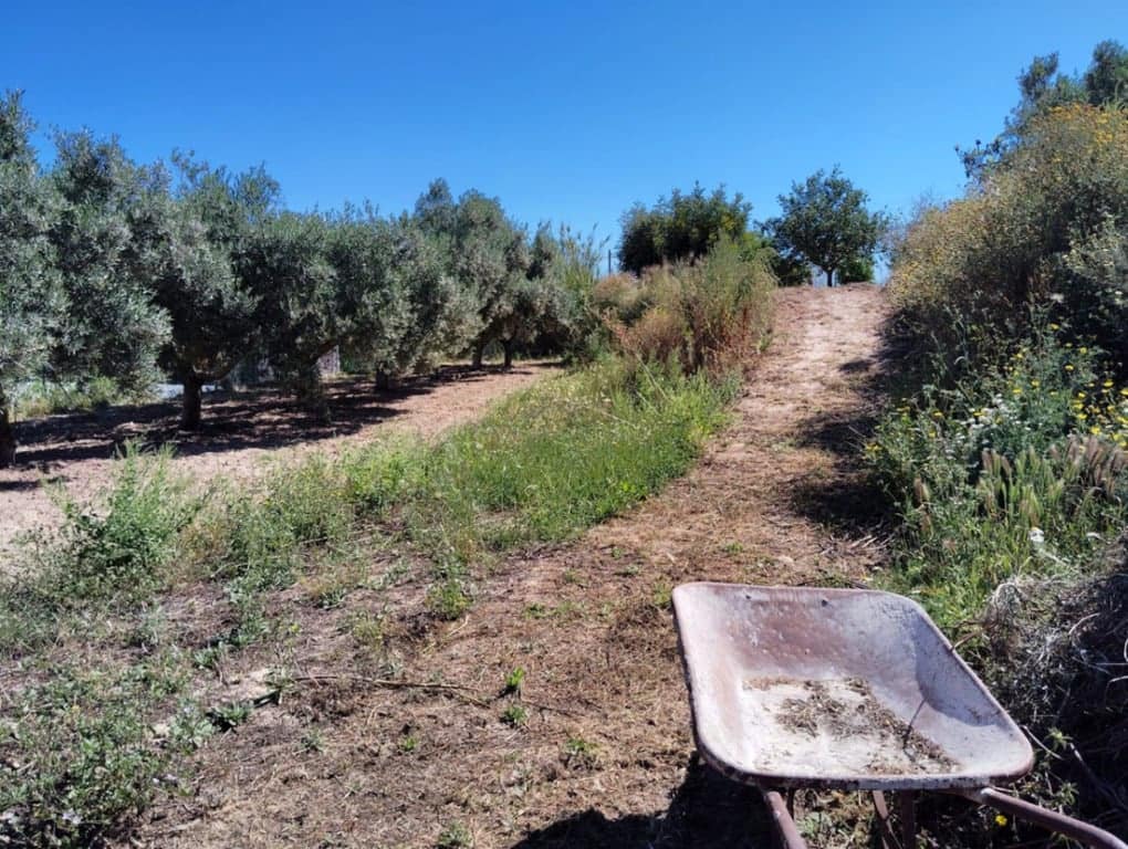 3 sypialnia Finka/Dom wiejski na sprzedaż w Teulada z garażem - 530 000 € (Ref: 9798014)