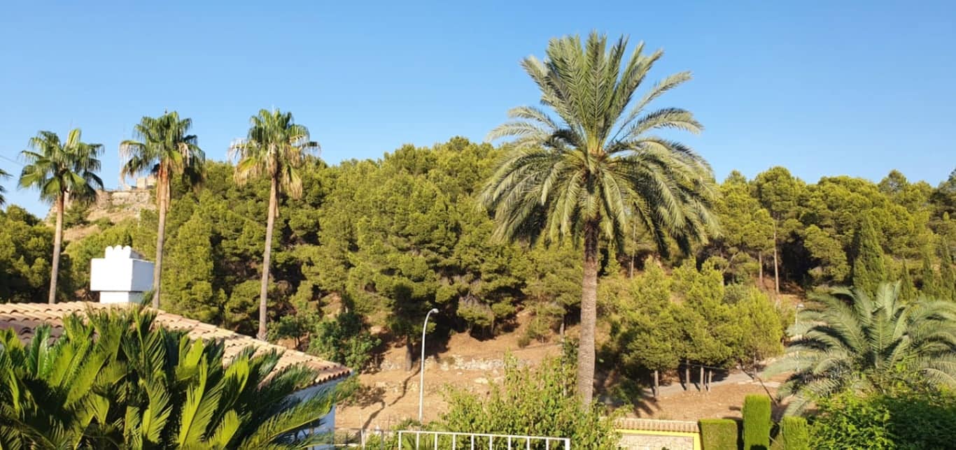 4 bedroom Villa for sale in Oliva - € 620,000 (Ref: 9798030)