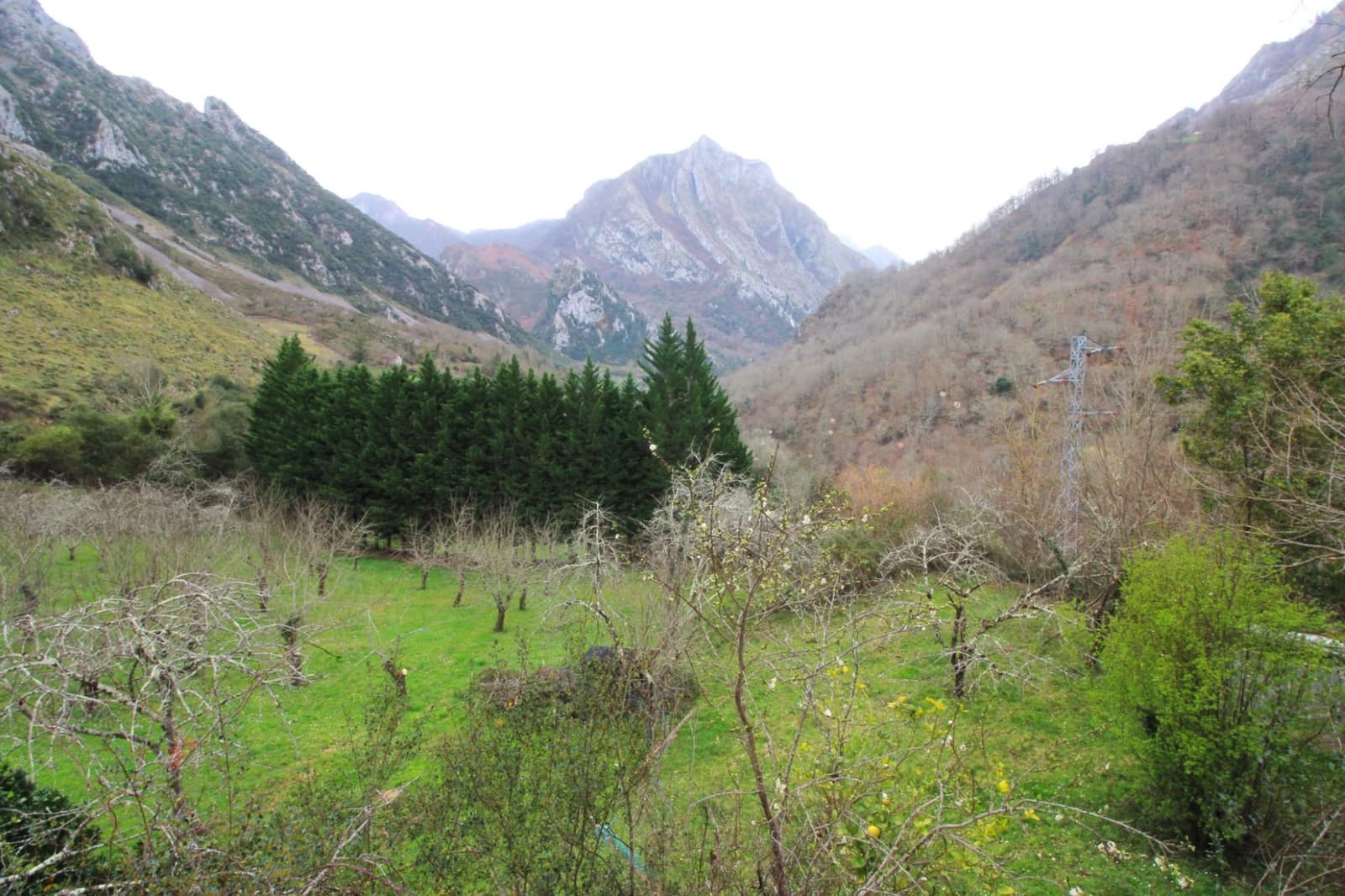 5 soveværelse Finca/Landehus til salg i Amieva med garage - € 290.000 (Ref: 8873243)