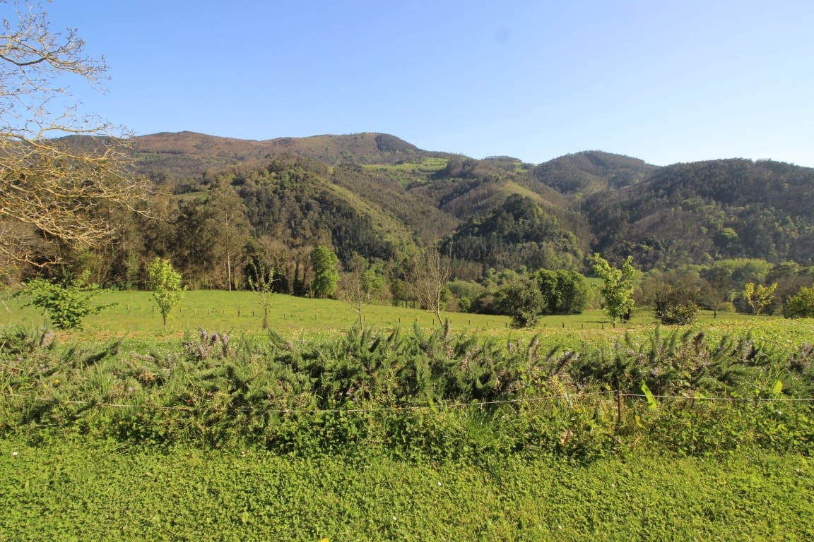 13 sovrum Finca/Hus på landet till salu i Pravia med garage - 370 000 € (Ref: 8971015)