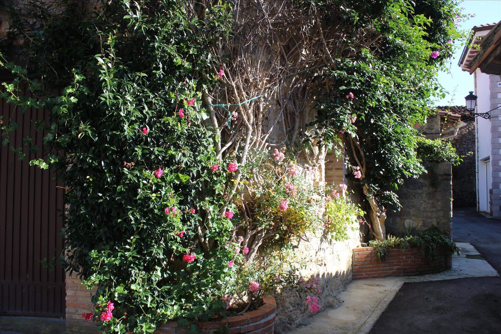 11 soveværelse Finca/Landehus til salg i Penamellera Baja - € 690.000 (Ref: 9035462)