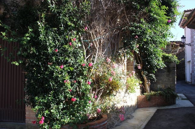 11 bedroom Finca/Country House for sale in Peñamellera Baja - € 690,000 (Ref: 9035462)