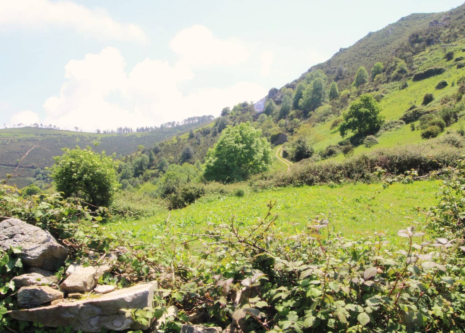 Grunde uden byggetilladelser til salg i Cudillero - € 3.400.000 (Ref: 9058150)