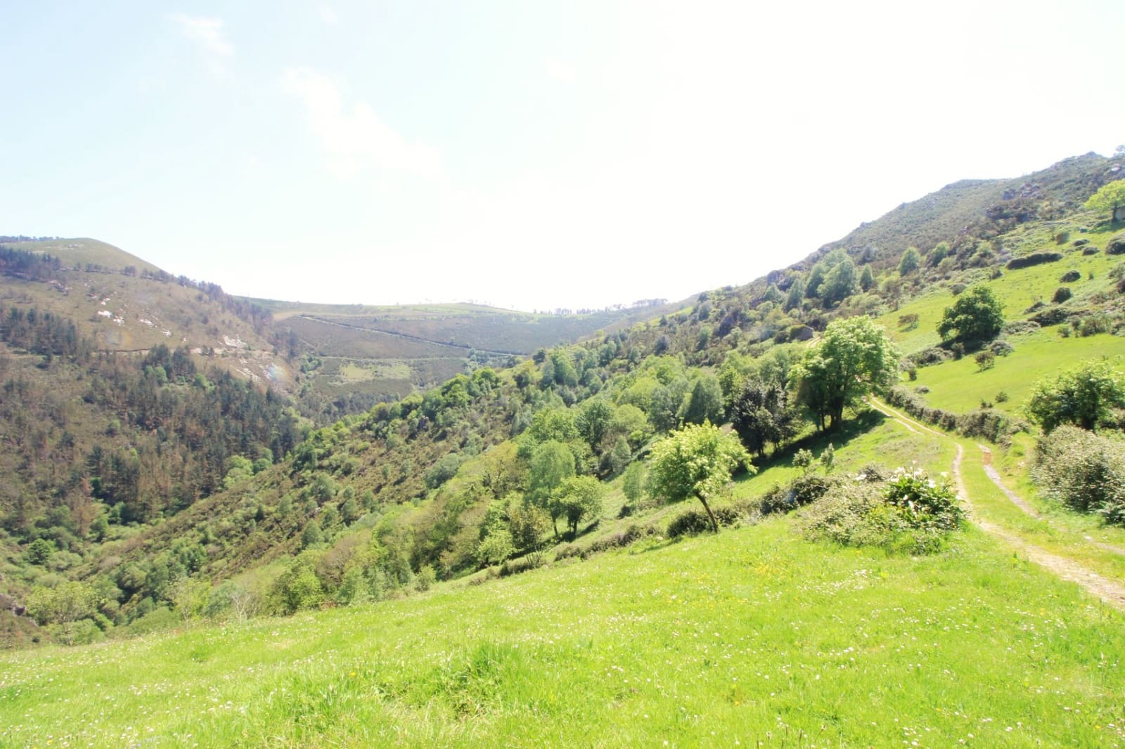 Grunde uden byggetilladelser til salg i Cudillero - € 3.400.000 (Ref: 9058150)