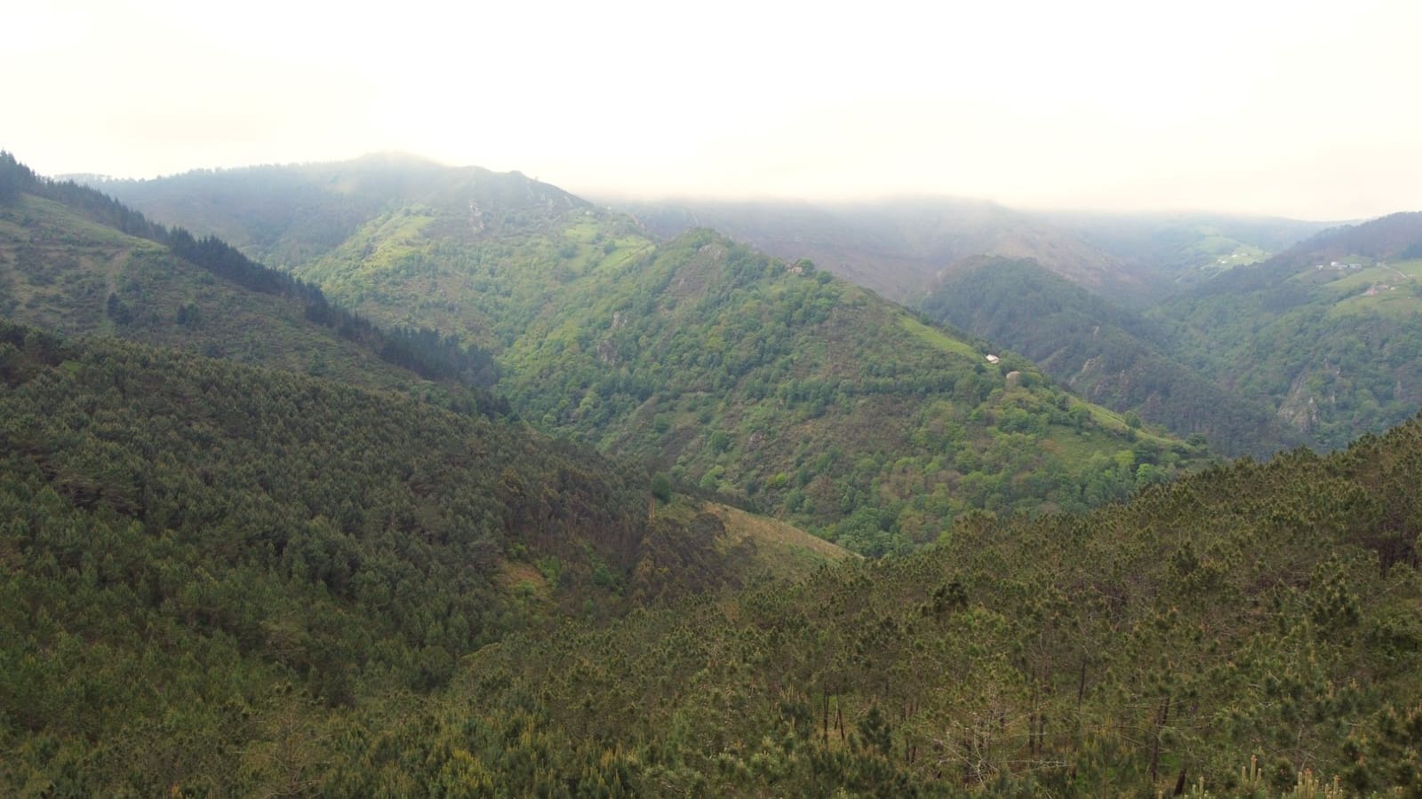 Grunde uden byggetilladelser til salg i Cudillero - € 3.400.000 (Ref: 9058150)