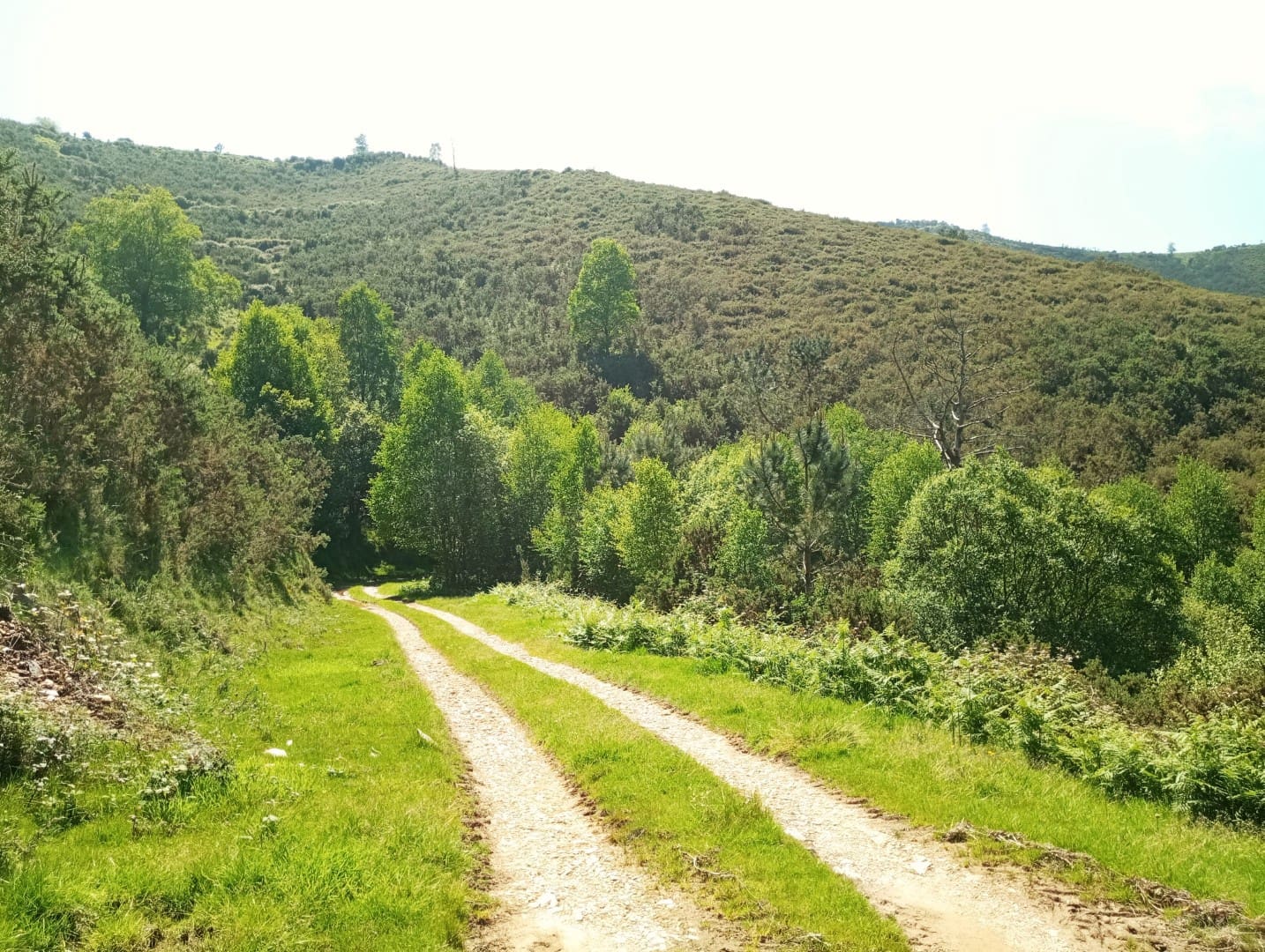 Grunde uden byggetilladelser til salg i Cudillero - € 3.400.000 (Ref: 9058150)