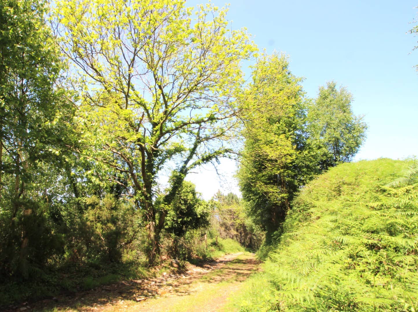 Grunde uden byggetilladelser til salg i Cudillero - € 3.400.000 (Ref: 9058150)