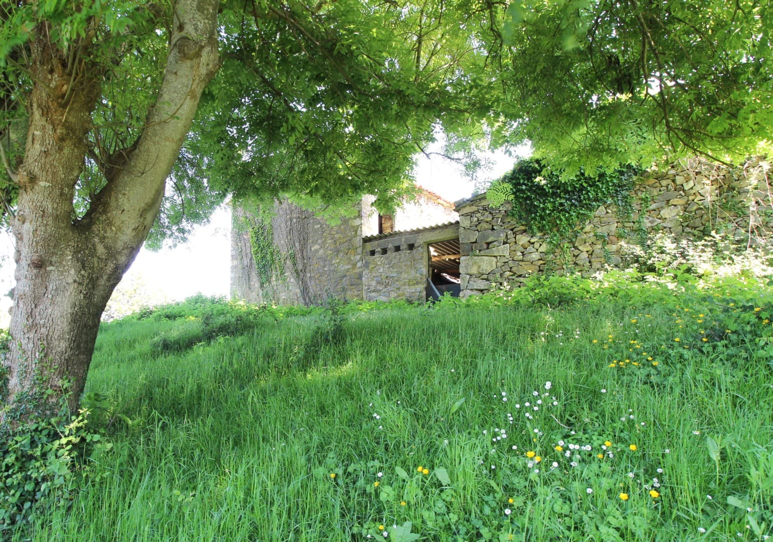 Grunde uden byggetilladelser til salg i Cudillero - € 3.400.000 (Ref: 9058150)