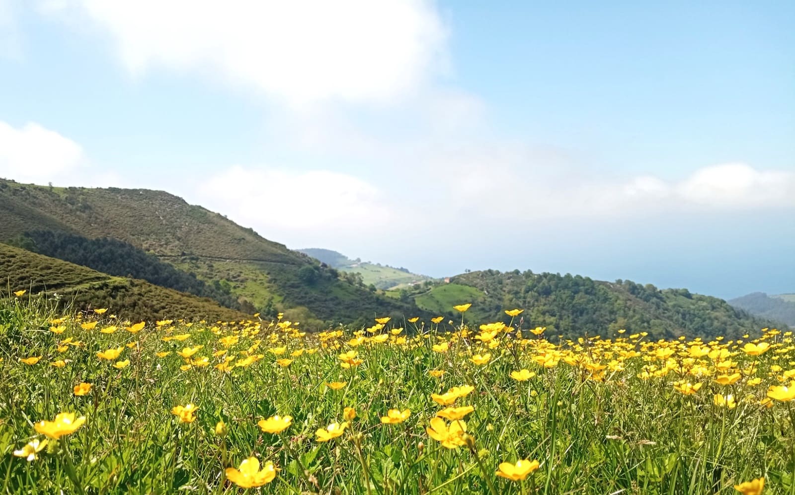 Grunde uden byggetilladelser til salg i Cudillero - € 3.400.000 (Ref: 9058150)