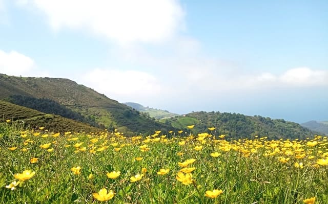 Undeveloped Land for sale in Cudillero - € 3,400,000 (Ref: 9058150)