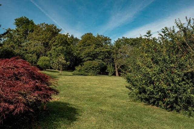 7 soveværelse Finca/Landehus til salg i Cadanes, Piloña med garage - € 595.000 (Ref: 9061891)
