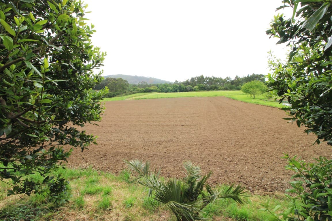 6 soverom Finca/Herregård til salgs i Valdes med garasje - € 330 000 (Ref: 9104002)