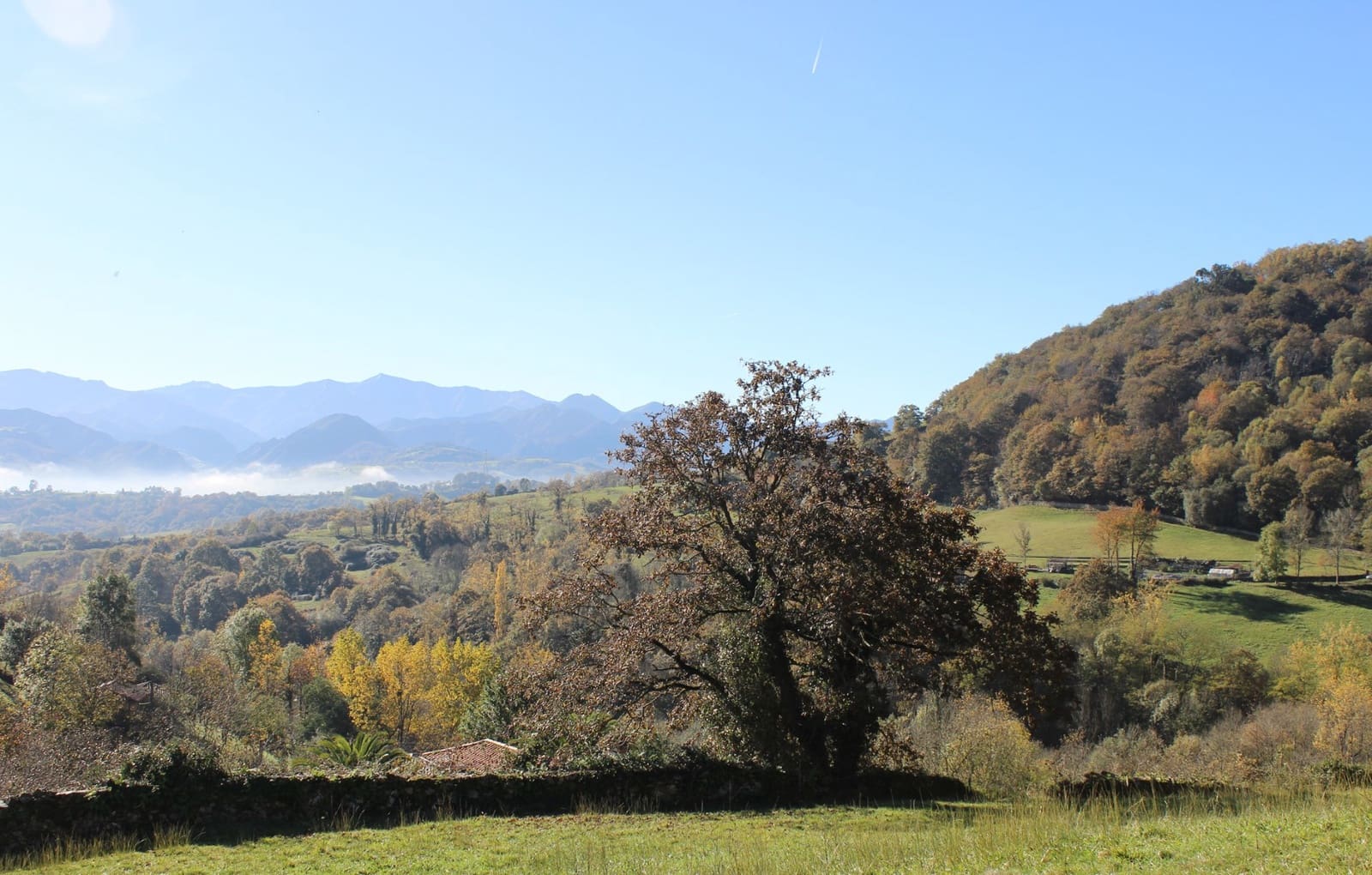 6 soveværelse Finca/Landehus til salg i Parres med garage - € 900.000 (Ref: 9104054)