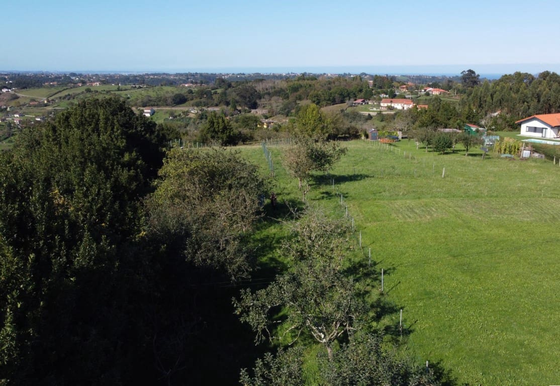 Byggegrund til salg i Villaviciosa - € 90.000 (Ref: 9186322)