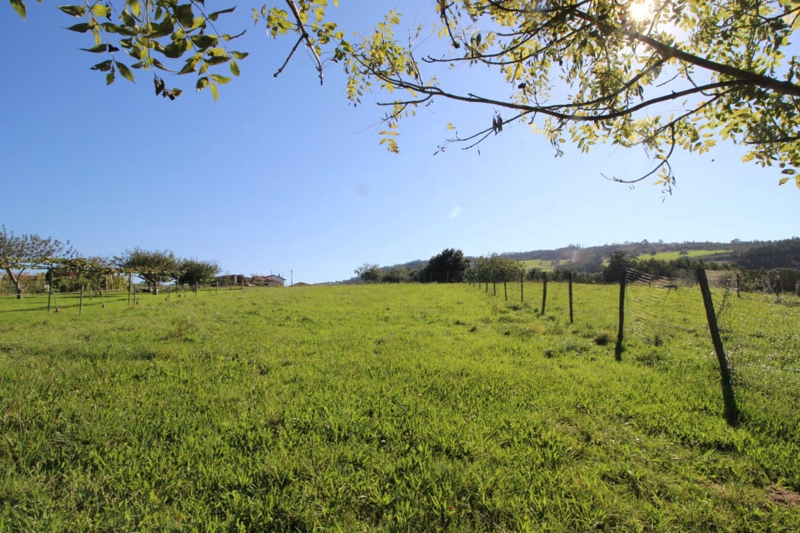 Byggegrund til salg i Villaviciosa - € 90.000 (Ref: 9186322)