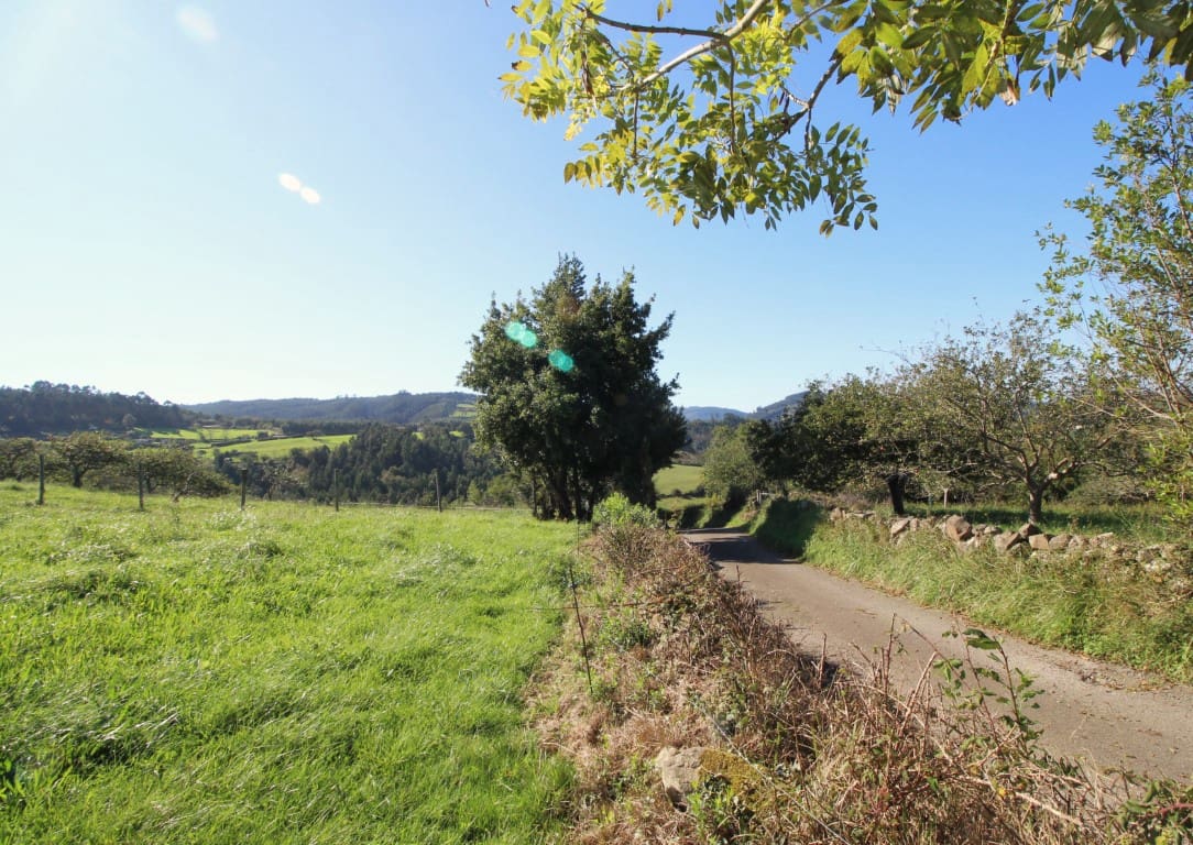 Byggegrund til salg i Villaviciosa - € 90.000 (Ref: 9186322)