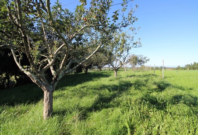 Tomt till salu i Villaviciosa - 90 000 € (Ref: 9186322)