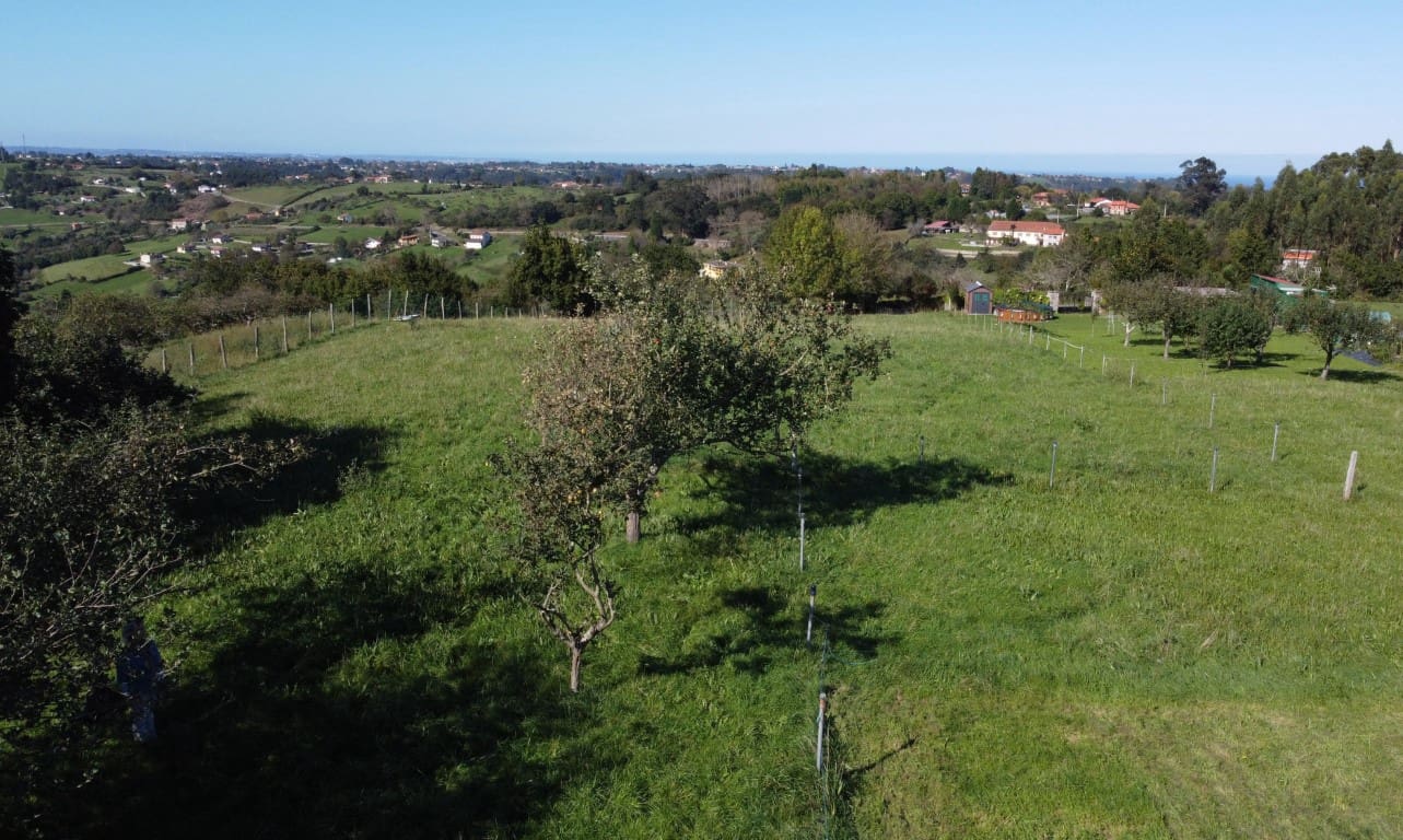 Byggegrund til salg i Villaviciosa - € 90.000 (Ref: 9186322)