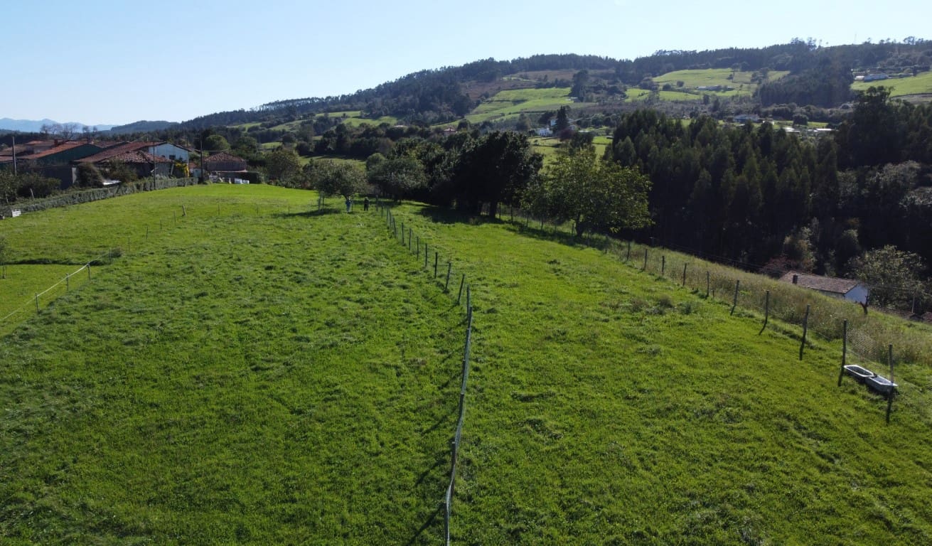 Byggegrund til salg i Villaviciosa - € 90.000 (Ref: 9186322)