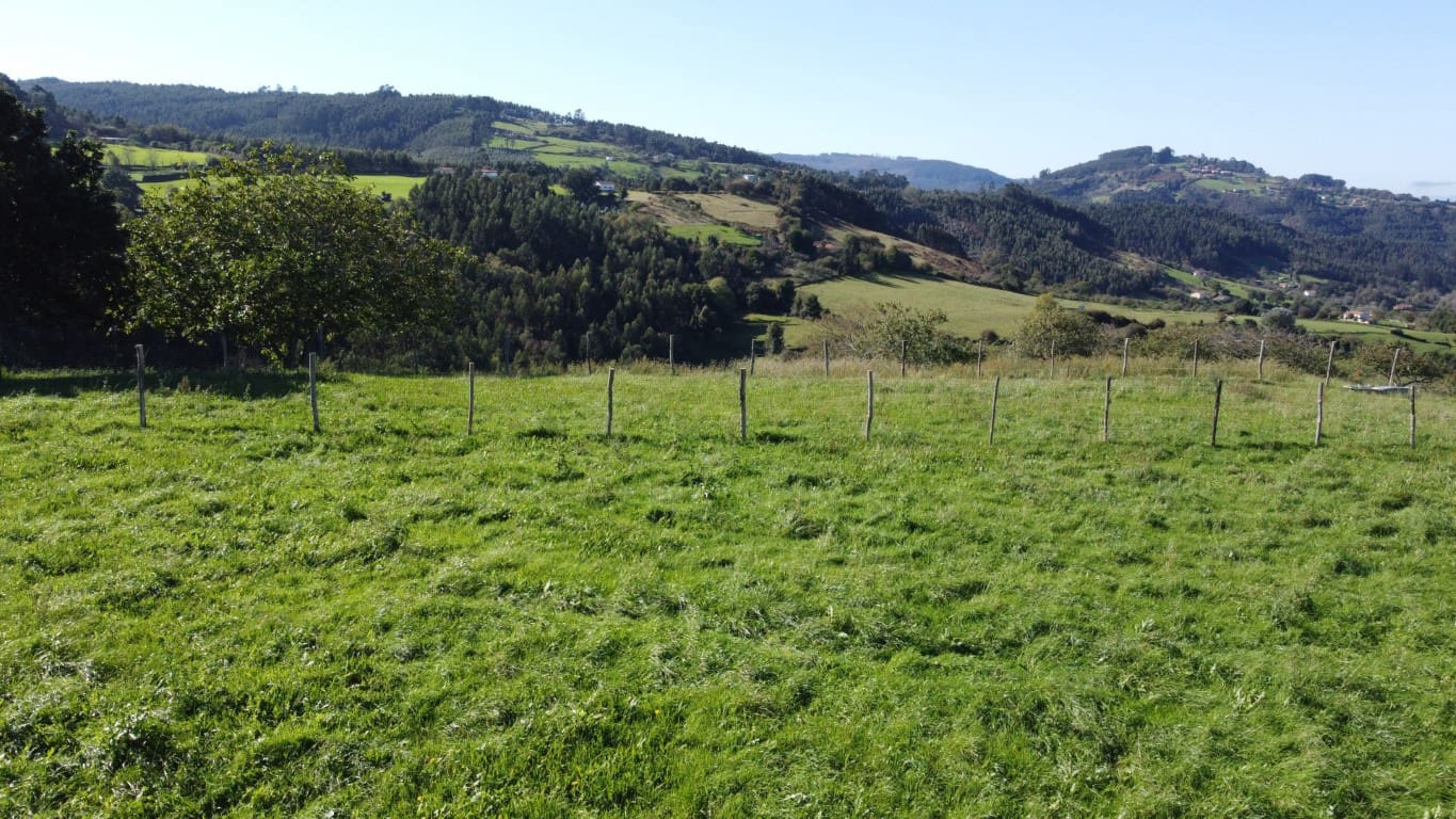 Byggegrund til salg i Villaviciosa - € 90.000 (Ref: 9186322)