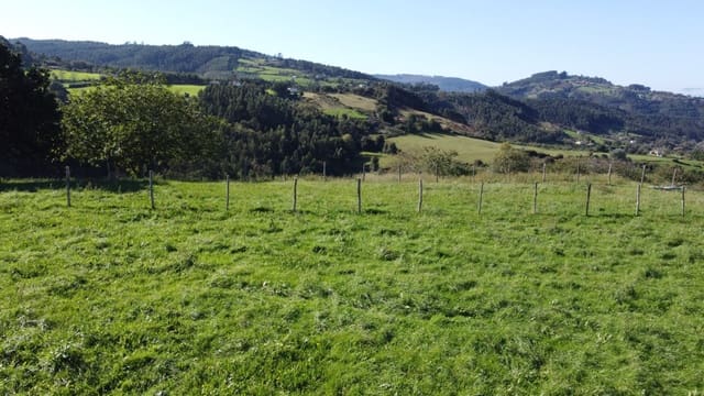 Tomt till salu i Villaviciosa - 90 000 € (Ref: 9186322)