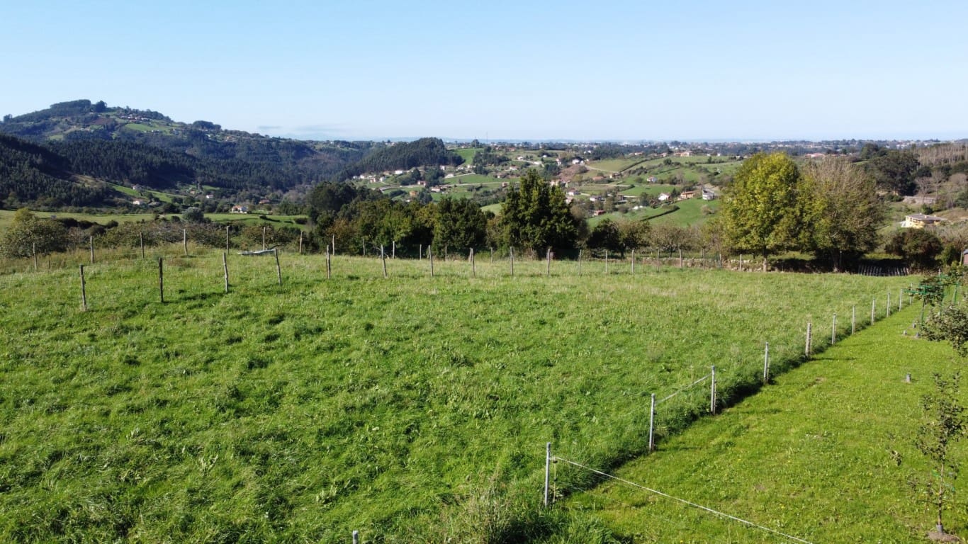 Byggegrund til salg i Villaviciosa - € 90.000 (Ref: 9186322)