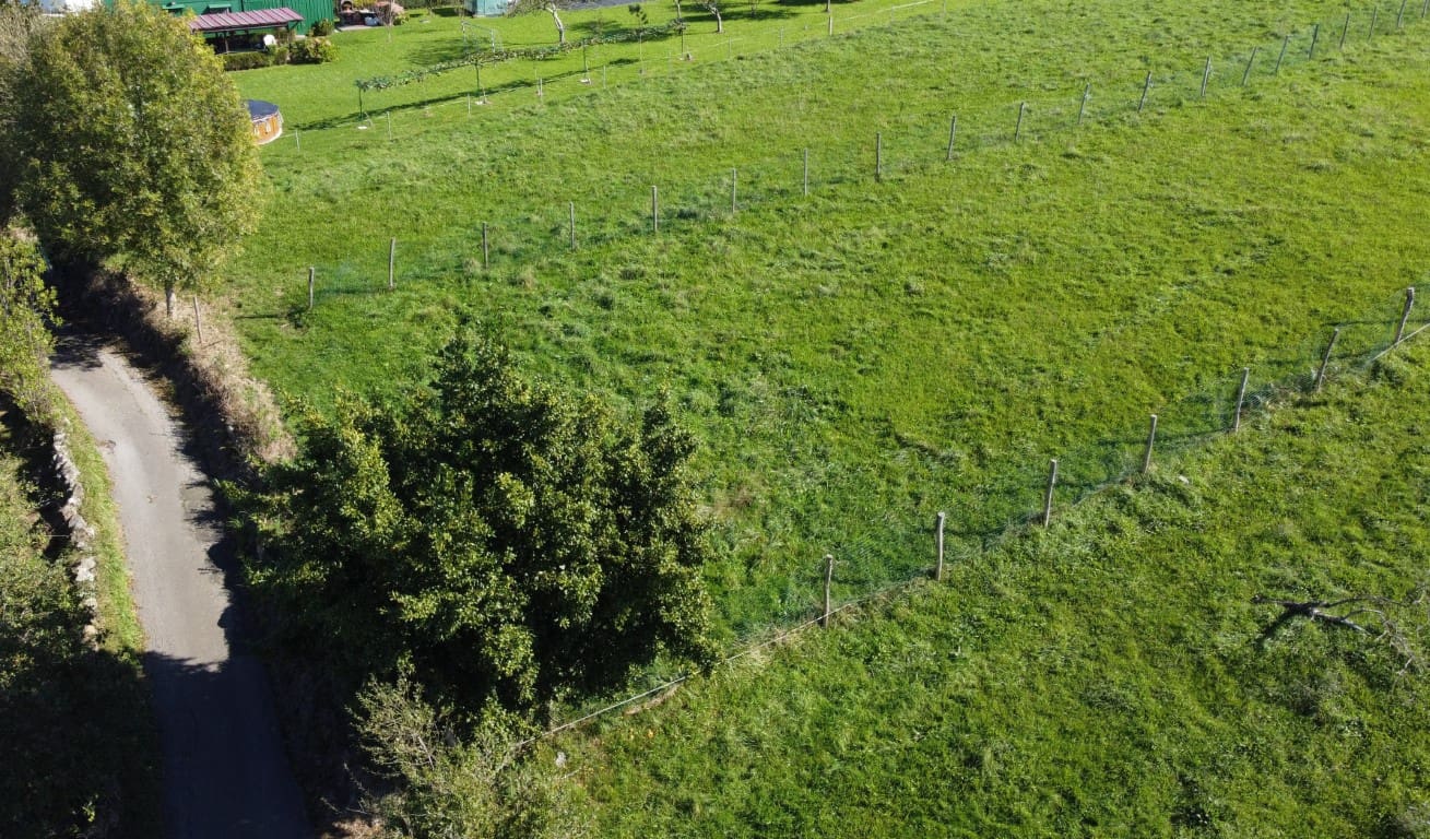 Byggegrund til salg i Villaviciosa - € 90.000 (Ref: 9186322)