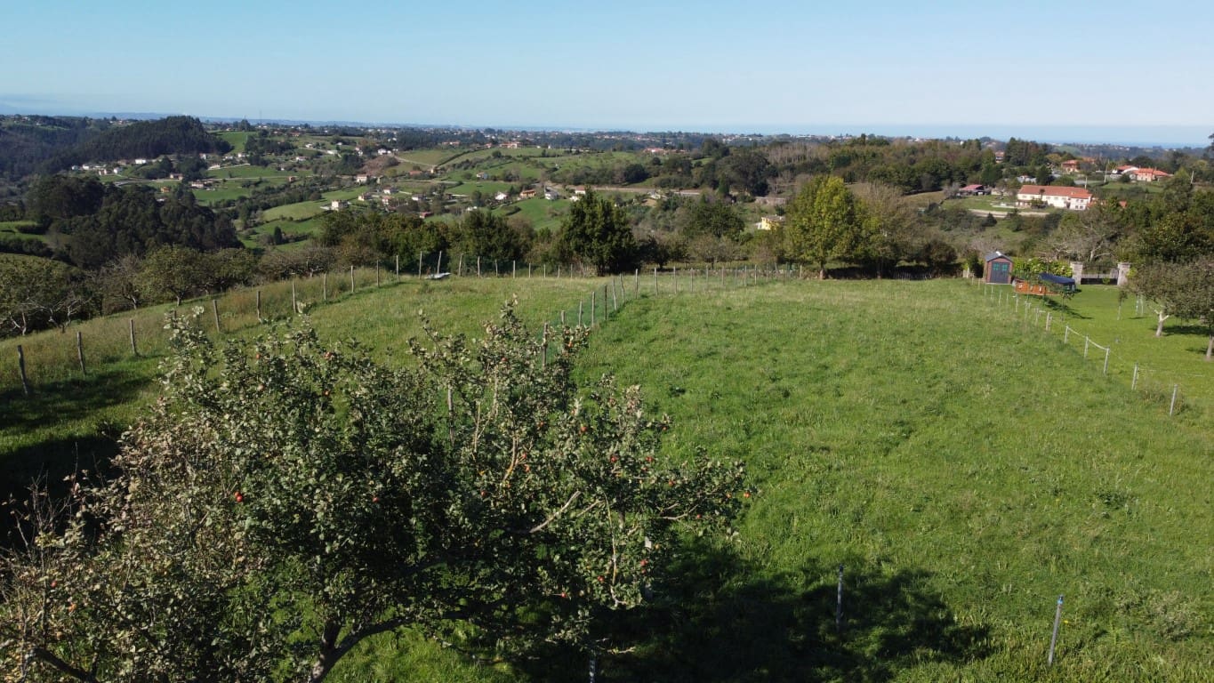 Byggegrund til salg i Villaviciosa - € 90.000 (Ref: 9186322)